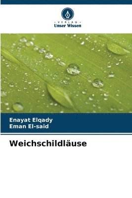 Weichschildluse 1