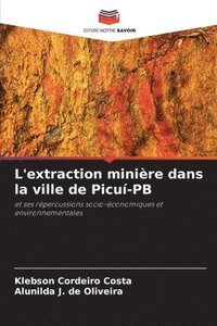 bokomslag L'extraction minire dans la ville de Picu-PB