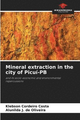 Mineral extraction in the city of Picu-PB 1