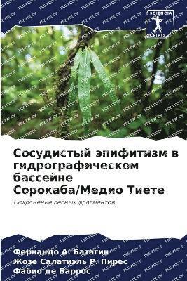 Сосудистый эпифитизм в гидрографическом