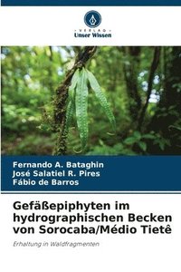 bokomslag Gefepiphyten im hydrographischen Becken von Sorocaba/Mdio Tiet