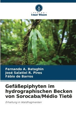 bokomslag Gefepiphyten im hydrographischen Becken von Sorocaba/Mdio Tiet