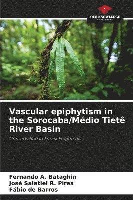 Fernando A Bataghin, José Salatiel R Pires, Fábio de Barros, Fernando A. Bataghin, José Salatiel R. Pires - Vascular epiphytism in the Sorocaba/Médio Tietê River Basin, Häftad
