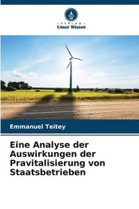 bokomslag Eine Analyse der Auswirkungen der Pravitalisierung von Staatsbetrieben