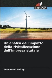 bokomslag Un'analisi dell'impatto della rivitalizzazione dell'impresa statale