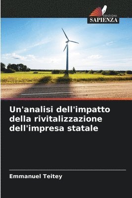 bokomslag Un'analisi dell'impatto della rivitalizzazione dell'impresa statale