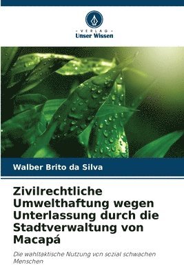 Zivilrechtliche Umwelthaftung wegen Unterlassung durch die Stadtverwaltung von Macap 1