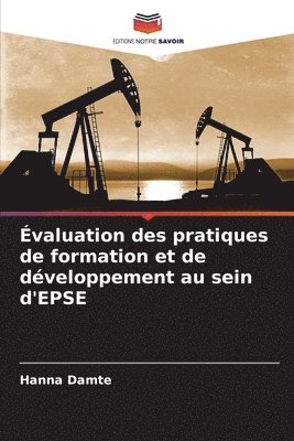 bokomslag Évaluation des pratiques de formation et de développement au sein d'EPSE