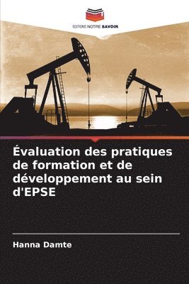 bokomslag valuation des pratiques de formation et de dveloppement au sein d'EPSE