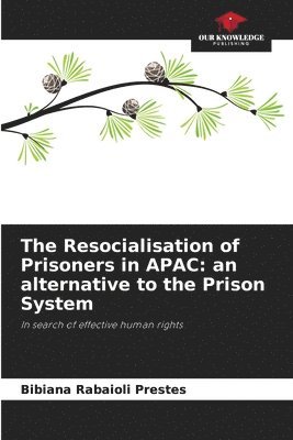 bokomslag Resocialisation of Prisoners in APAC