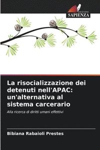 bokomslag La risocializzazione dei detenuti nell'APAC