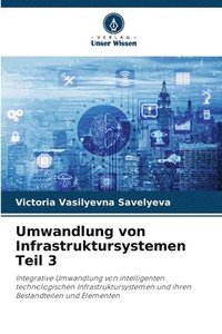 bokomslag Umwandlung von Infrastruktursystemen Teil 3