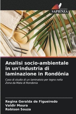 bokomslag Analisi socio-ambientale in un'industria di laminazione in Rondnia