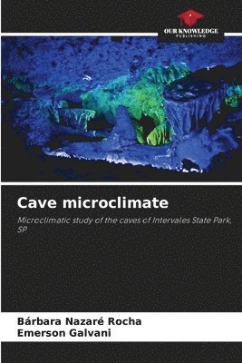 bokomslag Cave microclimate