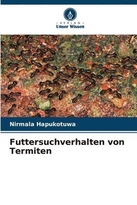 Futtersuchverhalten von Termiten 1