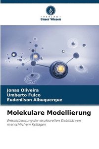 bokomslag Molekulare Modellierung