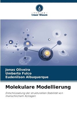 Jonas Oliveira, Umberto Fulco, Eudenilson Albuquerque - Molekulare Modellierung, Häftad