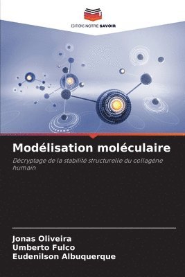 Jonas Oliveira, Umberto Fulco, Eudenilson Albuquerque - Modélisation moléculaire, Häftad