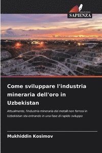 bokomslag Come sviluppare l'industria mineraria dell'oro in Uzbekistan