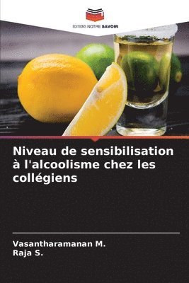 bokomslag Niveau de sensibilisation à l'alcoolisme chez les collégiens
