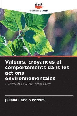 bokomslag Valeurs, croyances et comportements dans les actions environnementales