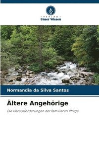 bokomslag Ältere Angehörige