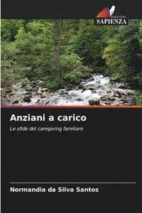 bokomslag Anziani a carico