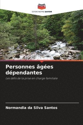 bokomslag Personnes âgées dépendantes