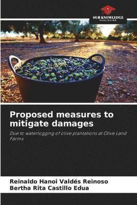 Proposed measures to mitigate damages 1