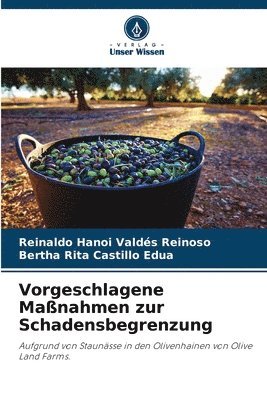 bokomslag Vorgeschlagene Maßnahmen zur Schadensbegrenzung