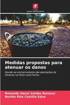 Medidas propostas para atenuar os danos 1