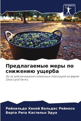 Рейн Вальдес Рейносо, Берта Р Кастильо Эдуа, &#1042;&#1072;&#1083;&#1100;&#1076;&#107, &#1050;&#1072;&#1089;&#1090;&#1080;&#108, ¿¿¿¿ ¿¿¿¿¿¿¿ ¿¿¿¿¿¿¿, ¿¿¿¿¿ ¿ ¿¿¿¿¿¿¿¿ ¿¿¿¿ - Предлагаемые меры по снижению ущерба, Häftad