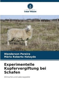 bokomslag Experimentelle Kupfervergiftung bei Schafen