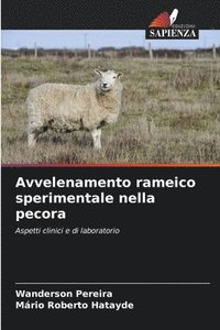 bokomslag Avvelenamento rameico sperimentale nella pecora