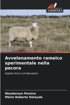 bokomslag Avvelenamento rameico sperimentale nella pecora