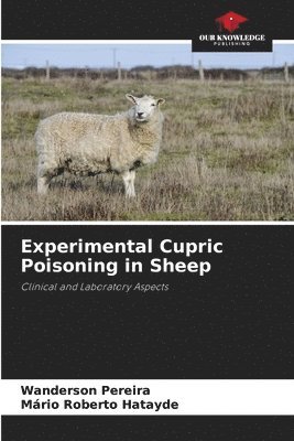 bokomslag Experimental Cupric Poisoning in Sheep