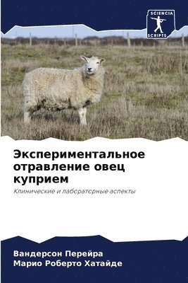 Вандерсон Перейра, Марио Роберт Хатайде, &#1055;&#1077;&#1088;&#1077;&#1081;&#108, &#1061;&#1072;&#1090;&#1072;&#1081;&#107, ¿¿¿¿¿¿¿¿¿ ¿¿¿¿¿¿¿, ¿¿¿¿¿ ¿¿¿¿¿¿ ¿¿¿¿¿¿¿ - Экспериментальное отравление овец купри&, Häftad