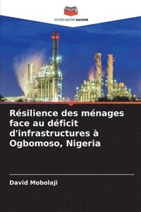 bokomslag Rsilience des mnages face au dficit d'infrastructures  Ogbomoso, Nigeria