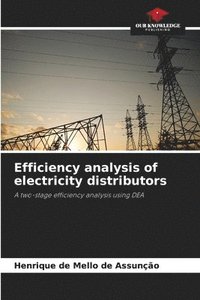 bokomslag Efficiency analysis of electricity distributors