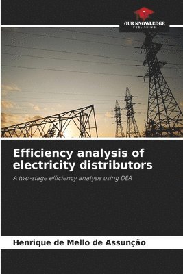 bokomslag Efficiency analysis of electricity distributors