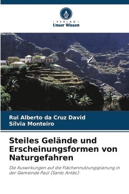 bokomslag Steiles Gelände und Erscheinungsformen von Naturgefahren
