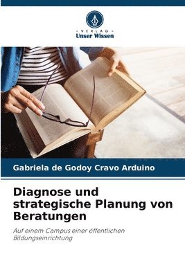 bokomslag Diagnose und strategische Planung von Beratungen