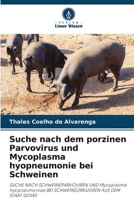 bokomslag Suche nach dem porzinen Parvovirus und Mycoplasma hyopneumonie bei Schweinen