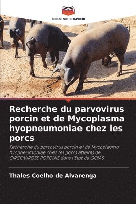 bokomslag Recherche du parvovirus porcin et de Mycoplasma hyopneumoniae chez les porcs