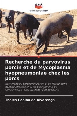 Thales Coelho de Alvarenga - Recherche du parvovirus porcin et de Mycoplasma hyopneumoniae chez les porcs, Häftad