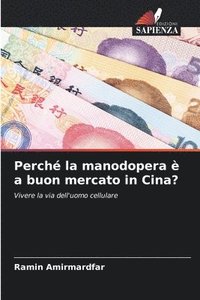 bokomslag Perch la manodopera  a buon mercato in Cina?