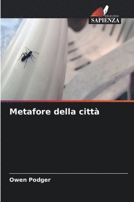 bokomslag Metafore della citt