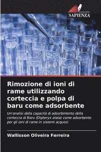 bokomslag Rimozione di ioni di rame utilizzando corteccia e polpa di baru come adsorbente