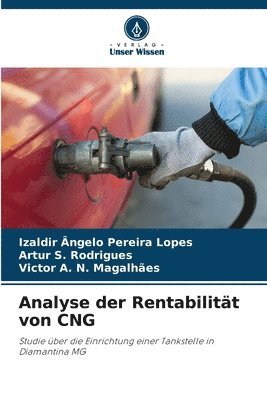 Izaldir Ângelo Pereira Lopes, Artur S Rodrigues, Victor A N Magalhães, Artur S. Rodrigues, Victor A. N. Magalhães - Analyse der Rentabilität von CNG, Häftad
