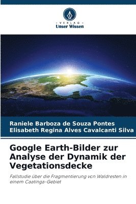 bokomslag Google Earth-Bilder zur Analyse der Dynamik der Vegetationsdecke